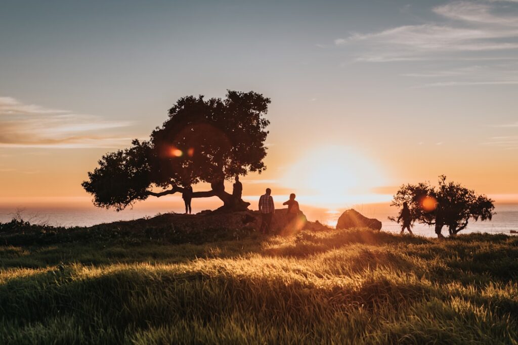 découvrez la signification et l'importance du contentement : apprendre à apprécier ce que l'on a, cultiver la gratitude au quotidien et trouver le bien-être intérieur pour une vie plus sereine et équilibrée.