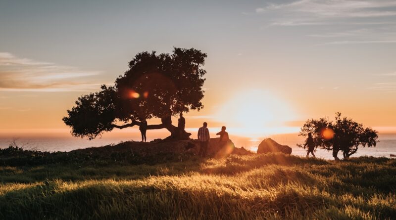 découvrez la signification et l'importance du contentement : apprendre à apprécier ce que l'on a, cultiver la gratitude au quotidien et trouver le bien-être intérieur pour une vie plus sereine et équilibrée.