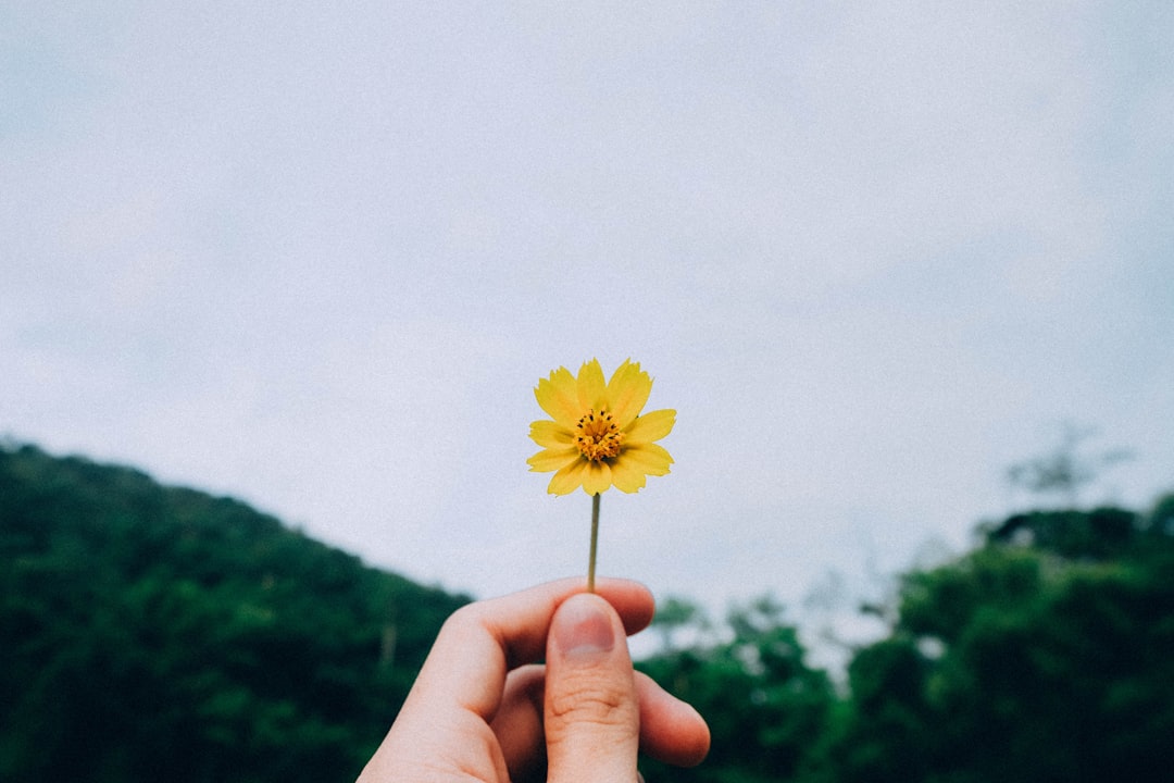 découvrez ce qu'est le bonheur, ses clés et astuces pour l'atteindre au quotidien. explorez des conseils pratiques pour cultiver une vie épanouie et positive.