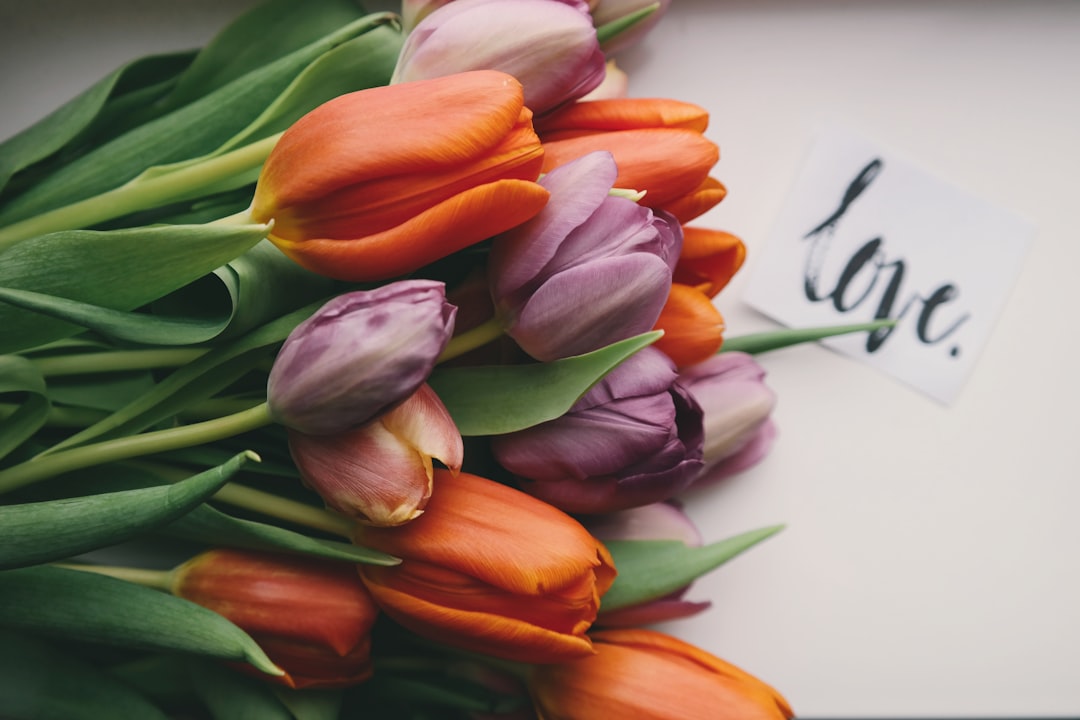 découvrez la signification profonde de l'amour, ses différentes formes et son impact sur nos vies personnelles et relationnelles.