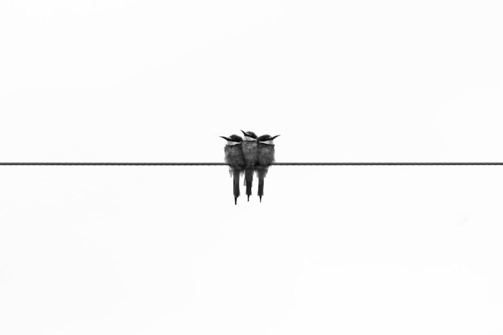 découvrez le minimalisme : un mode de vie qui privilégie la simplicité, le désencombrement et l’essentiel pour améliorer votre bien-être au quotidien.