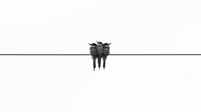 découvrez le minimalisme : un mode de vie qui privilégie la simplicité, le désencombrement et l’essentiel pour améliorer votre bien-être au quotidien.
