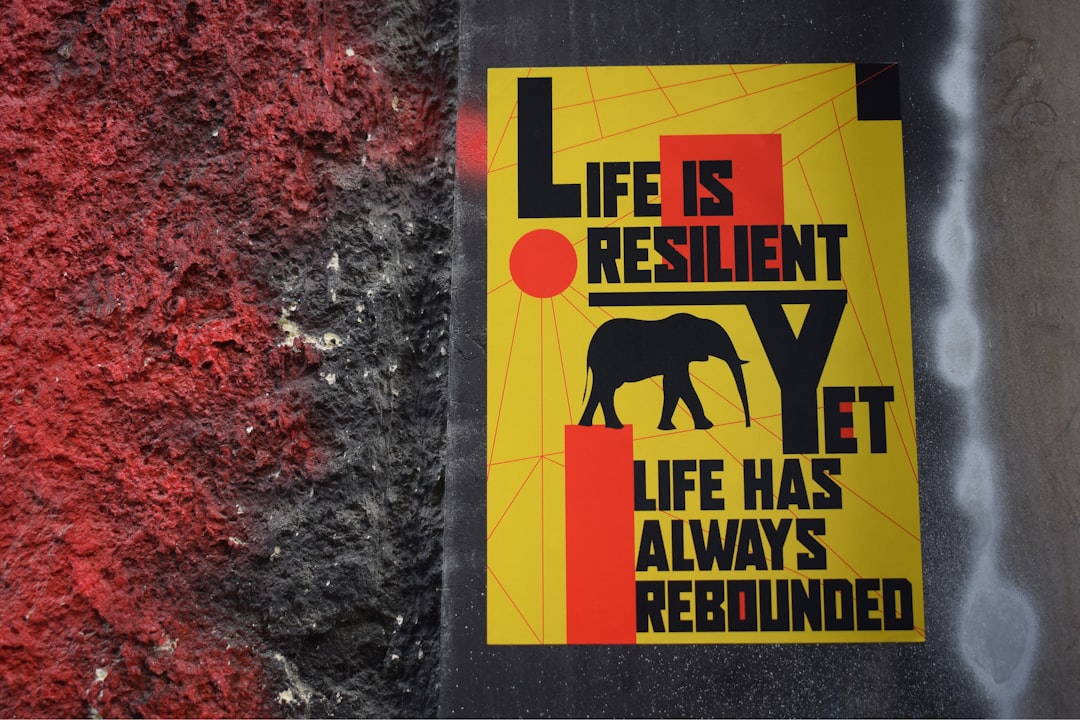 découvrez des conseils et des inspirations pour reconstruire votre vie après une épreuve. trouvez des ressources et des étapes clés pour reprendre confiance et avancer vers un avenir meilleur.