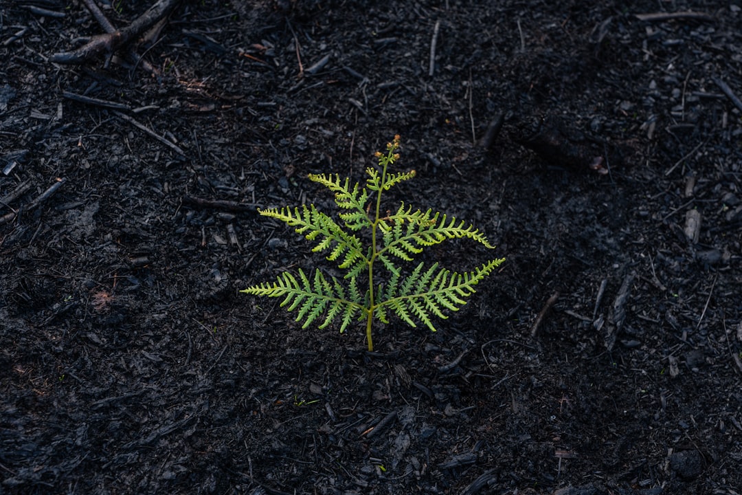 découvrez des conseils, méthodes et ressources pour la récupération physique, mentale ou après un incident. améliorez votre bien-être et retrouvez votre forme grâce à des stratégies de récupération adaptées à tous les besoins.