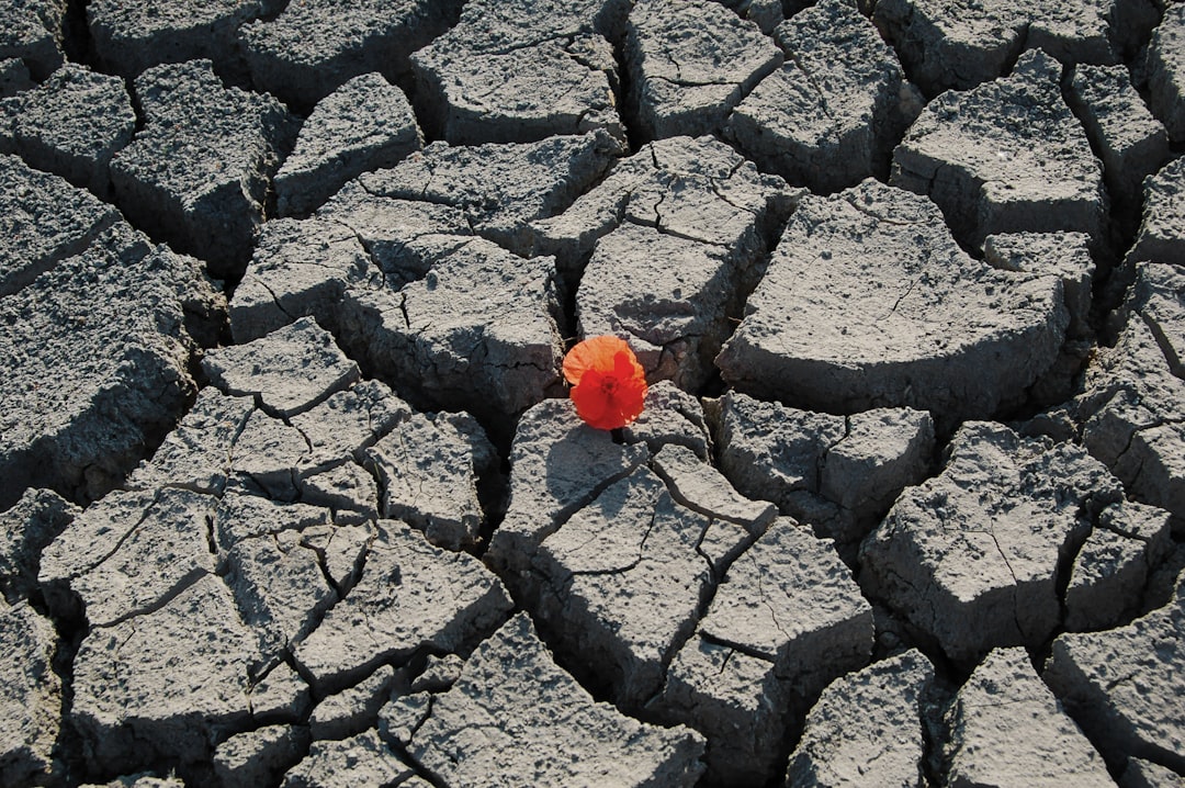 découvrez ce qu'est la résilience, ses mécanismes et comment développer votre capacité à faire face aux défis et à rebondir après l'adversité, dans tous les aspects de la vie.