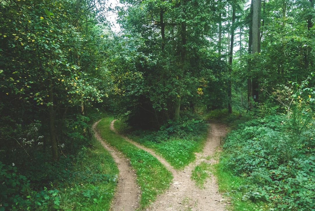 découvrez nos conseils et informations essentielles sur la séparation : démarches, aspects psychologiques, droits, solutions pour gérer au mieux cette étape difficile de la vie de couple.