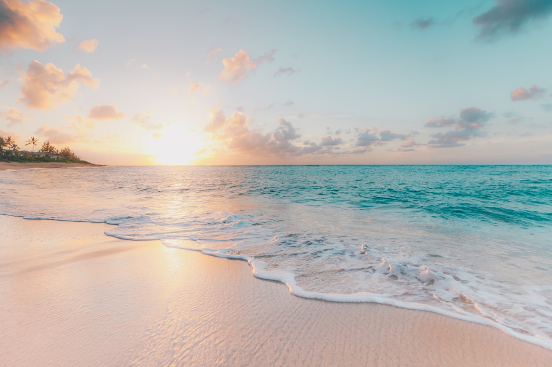 découvrez des conseils, astuces et inspirations pour voyager à travers le monde. préparez vos prochaines aventures avec nos guides de voyage, idées de destinations et recommandations pratiques.
