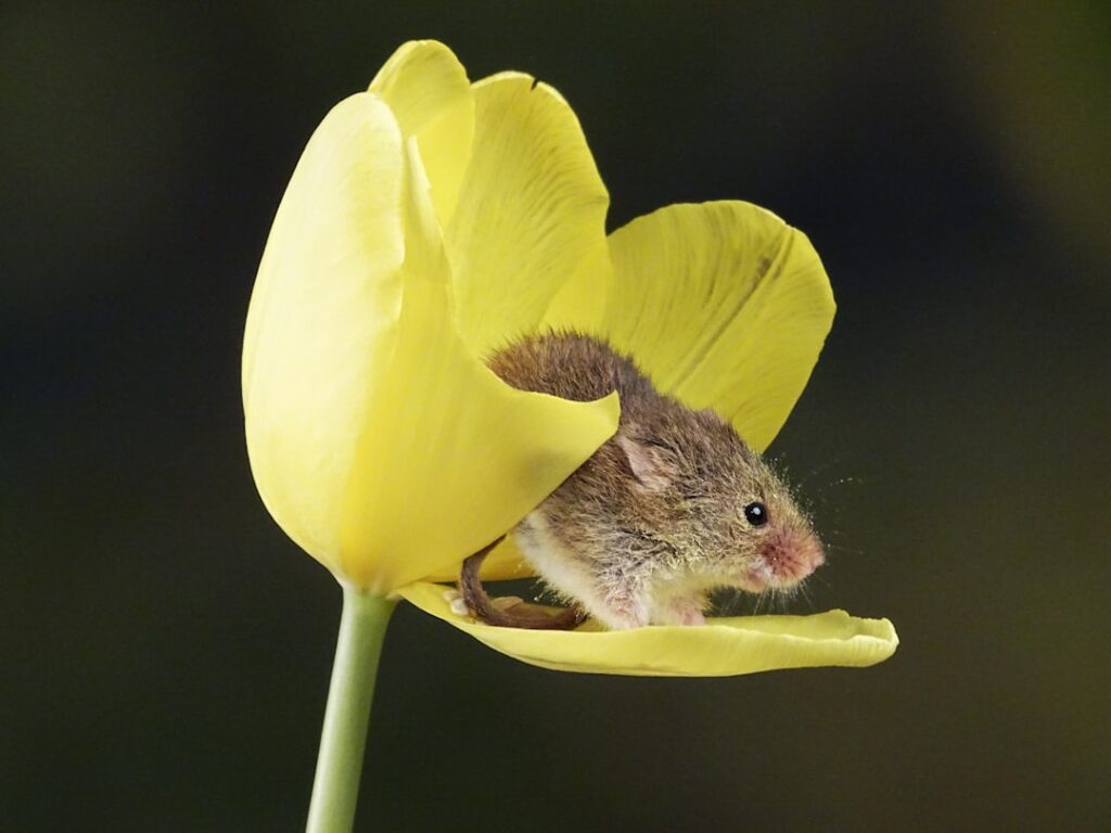 découvrez comment un amour inattendu peut bouleverser une vie, entre surprises, émotions et passion. plongez dans une histoire captivante où les sentiments surgissent là où on ne les attend pas.