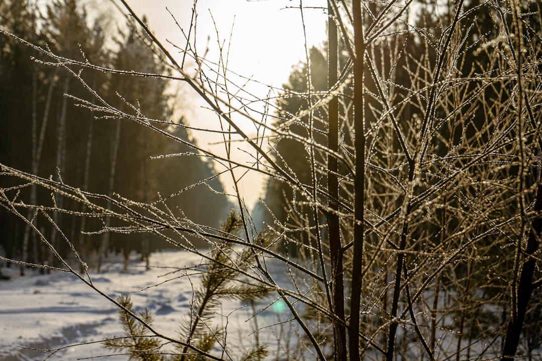 découvrez comment adopter une attitude positive en hiver grâce à des conseils pratiques et inspirants pour égayer votre quotidien malgré le froid.